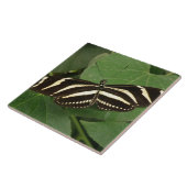Zebra Longwing Butterfly Tile Fliese (Seite)