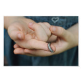 Zebra Longwing Raupe Fotodruck (Vorne)