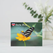 Zebra Longwing Schmetterling - Costa Rica Postkarte (Stehend Vorderseite)