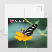Zebra Longwing Schmetterling - Costa Rica Postkarte (Vorne/Hinten)