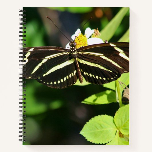 Zebra Longwing Schmetterling Spiralnotizbuch Notizblock (Vorderseite)