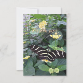 Zebra Longwing Thank You Card Dankeskarte