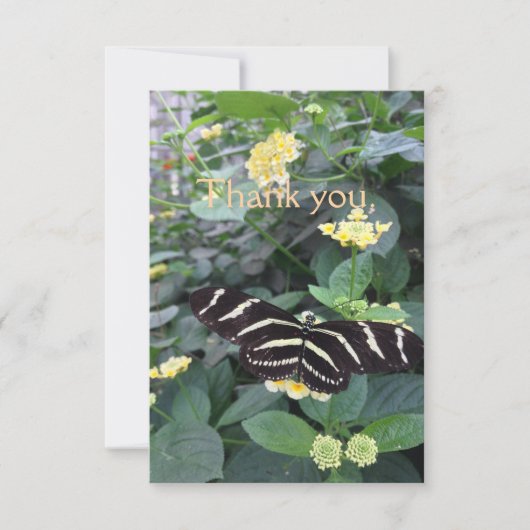 Zebra Longwing Thank You Card Dankeskarte (Vorderseite)