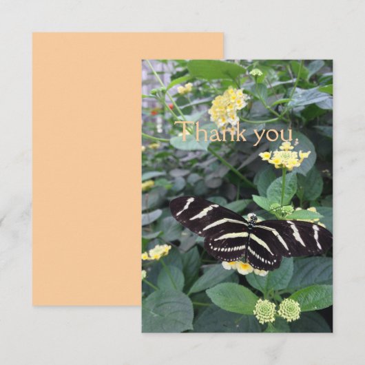 Zebra Longwing Thank You Card Dankeskarte (Vorne/Hinten)