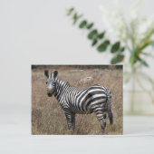 Zebra-Look Postkarte (Stehend Vorderseite)