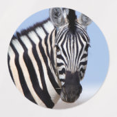 Zebra looking at you etiketten (Design 2)