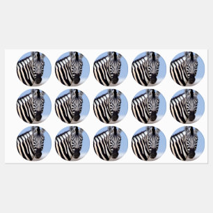 Zebra looking at you etiketten