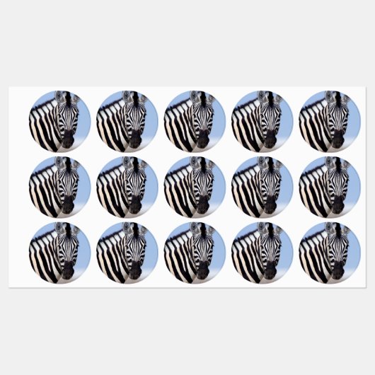 Zebra looking at you etiketten (Blatt)
