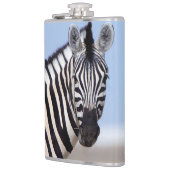 Zebra looking at you flachmann (Links)