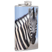 Zebra looking at you flachmann (Rechts)