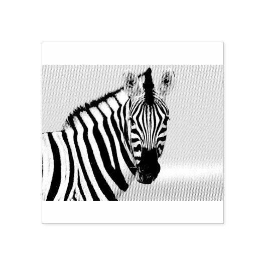Zebra looking at you gummistempel (Prägung)