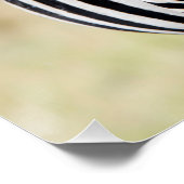 Zebra looking at you poster (Ecke)