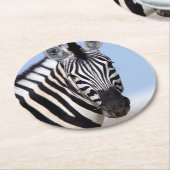 Zebra looking at you runder pappuntersetzer (Angewinkelt)