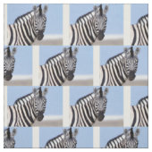 Zebra looking at you stoff (Muster)