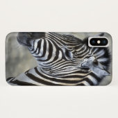 Zebra Lovers Case-Mate iPhone Hülle (Rückseite (Horizontal))