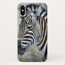 Zebra Lovers