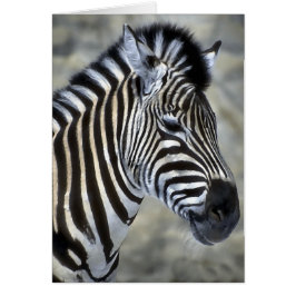 Zebra Lovers Kunstgeschenke