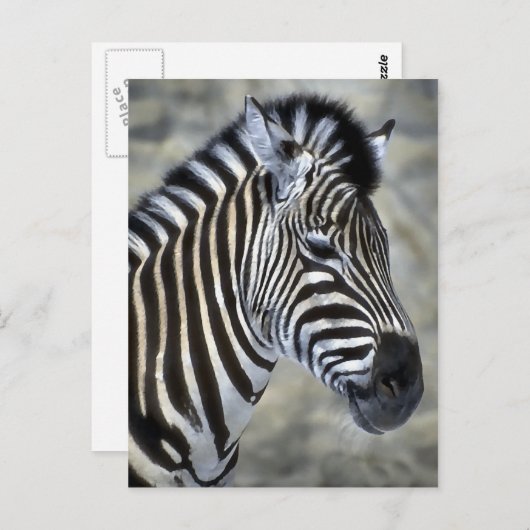 Zebra Lovers Kunstgeschenke Postkarte (Vorne/Hinten)