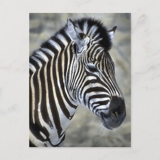 Zebra Lovers Kunstgeschenke Postkarte (Vorderseite)