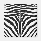 Zebra Magnet (Vorne)