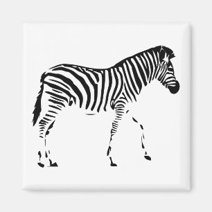 Zebra Magnet