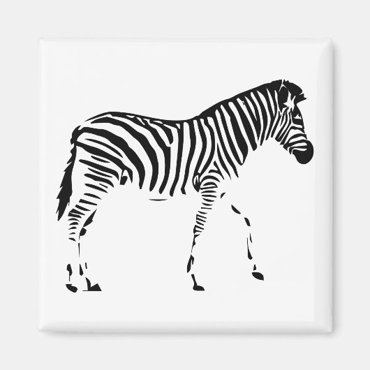 Zebra Magnet (Vorne)