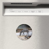 Zebra Magnet (In Situ (Geschirrspüler))