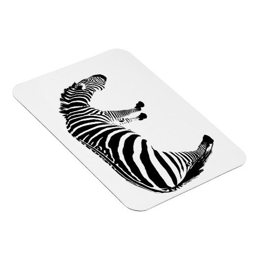 Zebra Magnet (Rechte Seite)