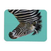 ZEBRA MAGNET (Horizontal)