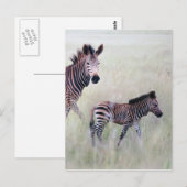 Zebra Mama und Baby Postkarte (Vorne/Hinten)