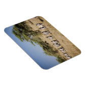 Zebra-Migrationshintergrund, Tansania Magnet (Rechte Seite)