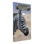 Zebra Mini Klemmbrett (Schrägansicht)