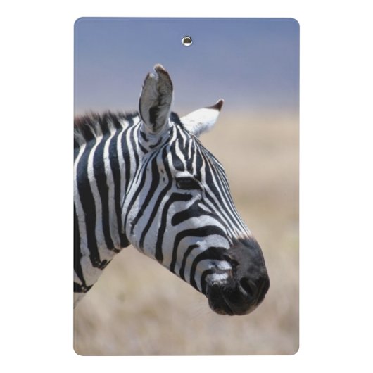 Zebra Mini Klemmbrett (Rückseite)