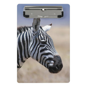 Zebra Mini Klemmbrett