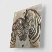 Zebra mit Colt Quadratische Wanduhr (Winkel)
