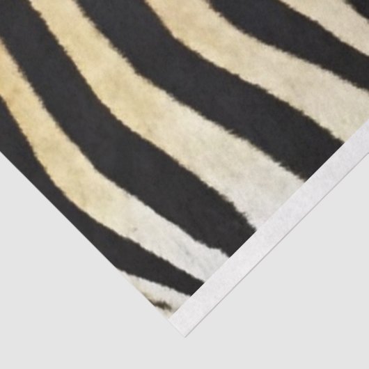 Zebra Möbelbeschriftung Seidenpapier (Ausschnitt)