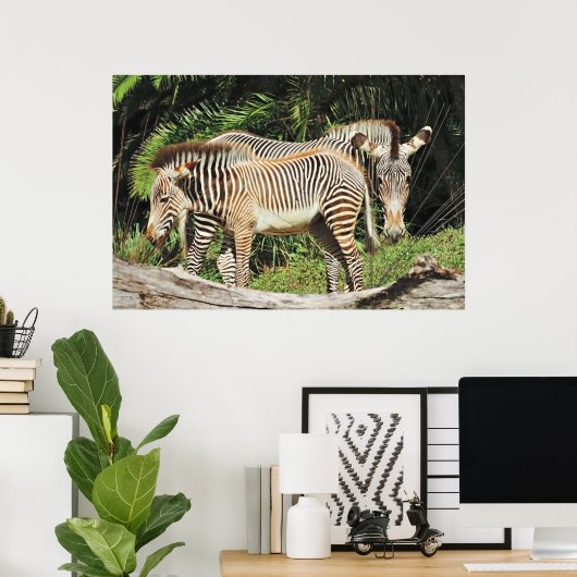 Zebra Mom & Foal 36 x 24 Photo Poster (Heimbüro)