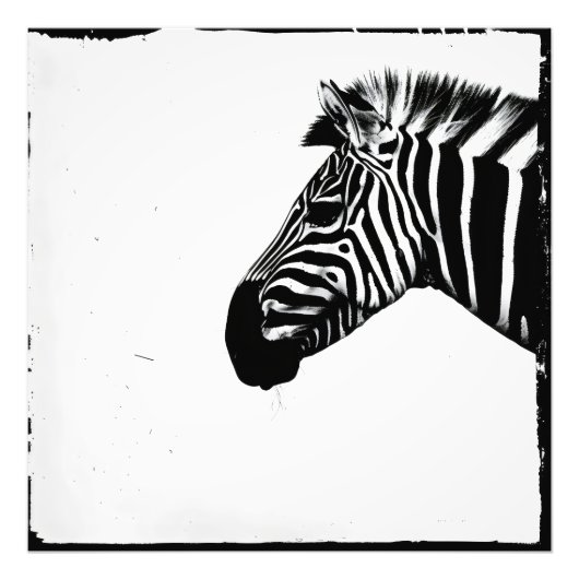Zebra Monochromatischer Minimalismus Fotodruck (Vorne)