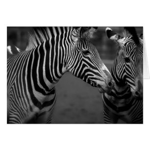 Zebra-Monochrome