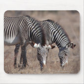 Zebra Mousepad (Vorne)