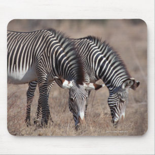 Zebra Mousepad