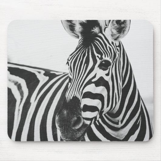 Zebra Mousepad (Vorne)