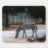 Zebra Mousepad (Vorne)