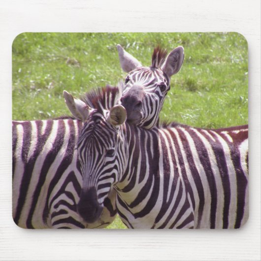 Zebra mousepad (Vorne)