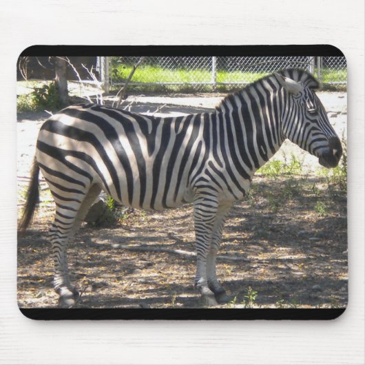 Zebra Mousepad (Vorne)