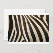 Zebra-Muster Postkarte (Vorne/Hinten)