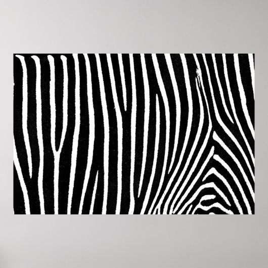 Zebra Musterplakat für dekoratives Möbelpapier Poster (Vorne)