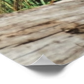 Zebra Mutter & Fohlen 36 x 24 Foto Poster (Ecke)