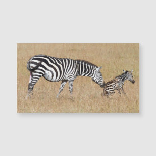 Zebra nach Geburt Magnetkarte