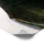 Zebra nach oben nah und gestreift Schwarzweißmuste Poster (Ecke)